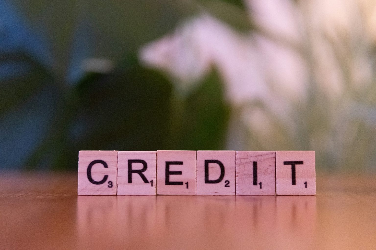 How to Build Strong Business Credit from Day One